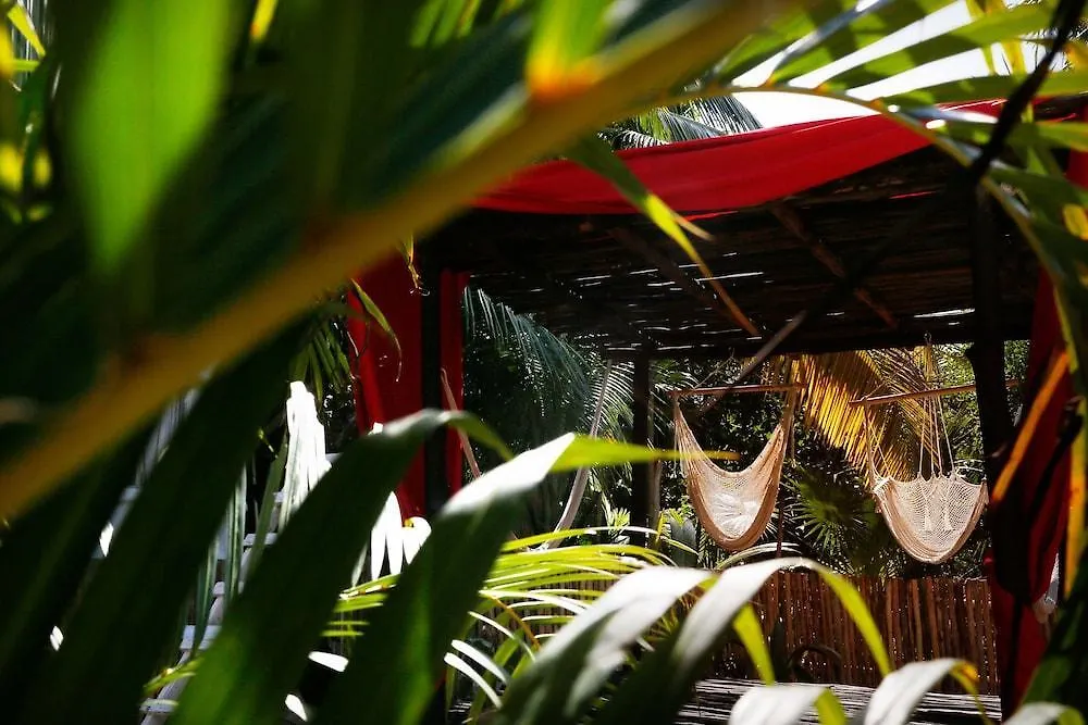 Casa Selva De Luz Hotel Tulum Mexico